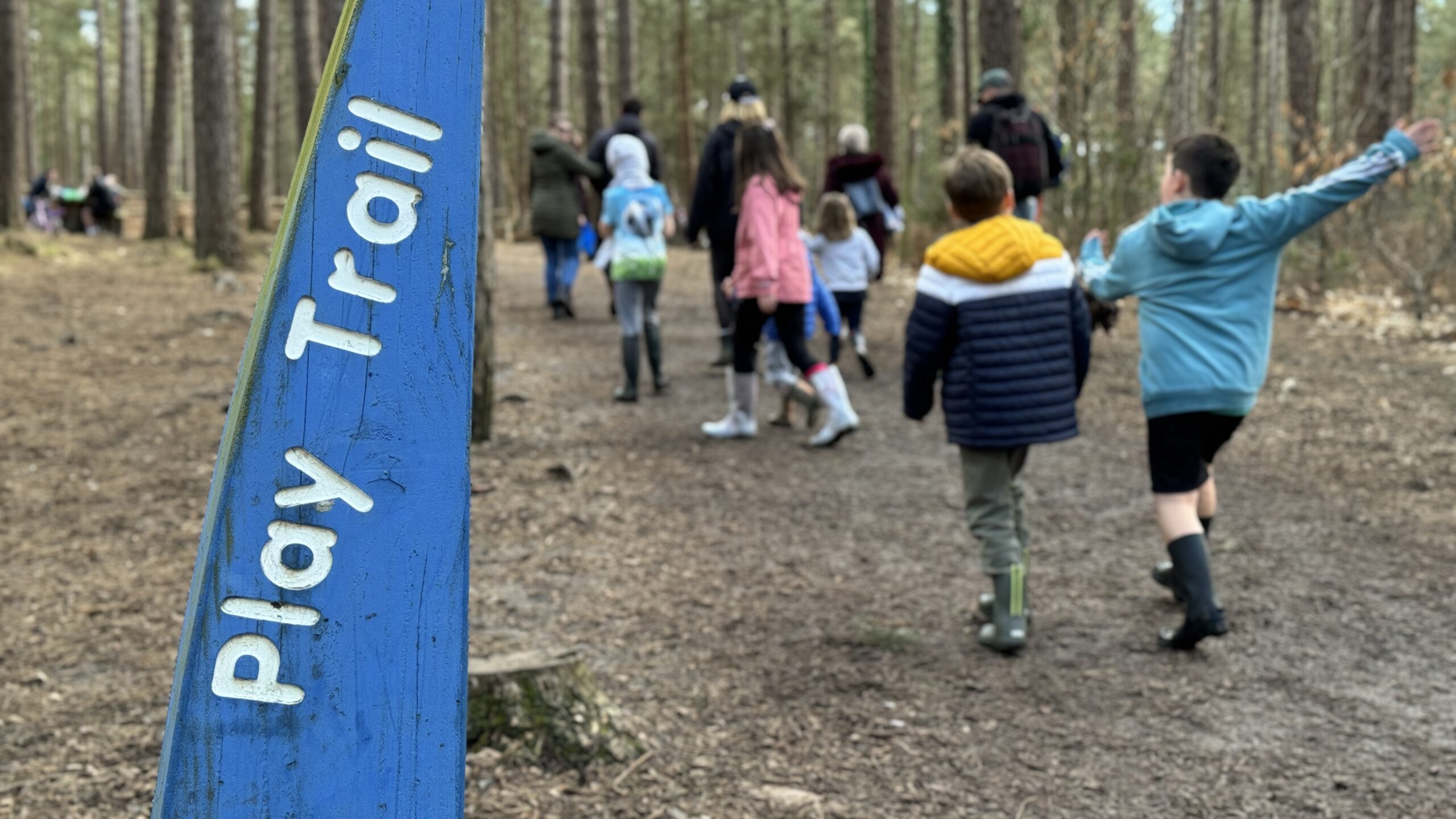 Moors Valley trail diversions announced