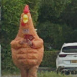 Raving rooster draws attention in Verwood