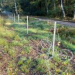 Vandals damage fencing at Stephens Castle