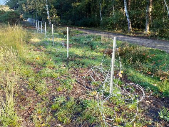 Vandals damage fencing at Stephens Castle